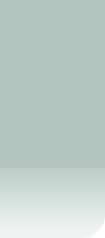 wp11167e8f.png