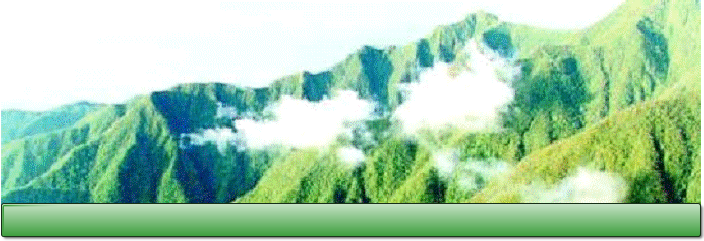 wp56d6c758.png