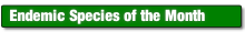 wp6972ce9a.png