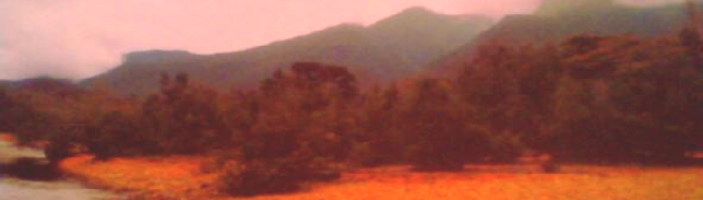 wpe0600839.png