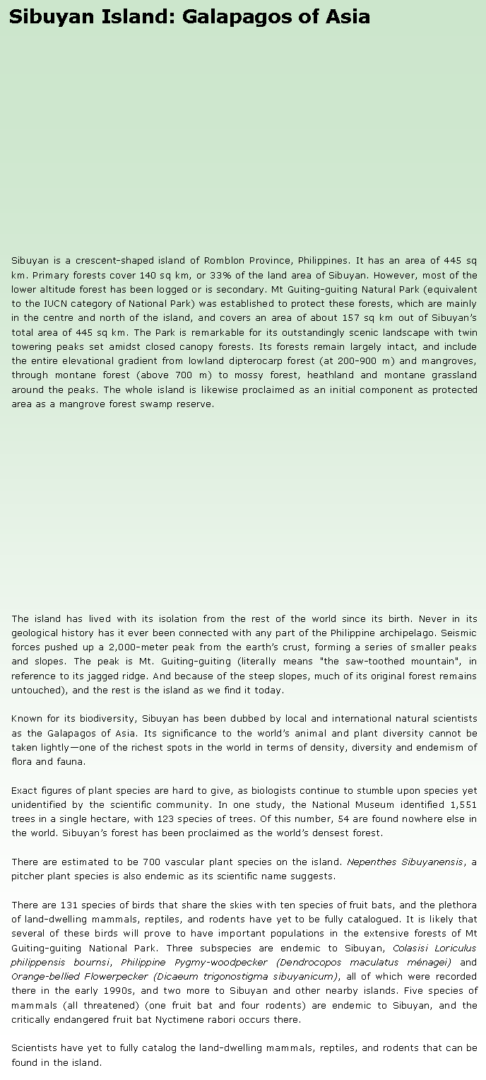 Text Box: Sibuyan Island: Galapagos of AsiaSibuyan is a crescent-shaped island of Romblon Province, Philippines. It has an area of 445 sq km. Primary forests cover 140 sq km, or 33% of the land area of Sibuyan. However, most of the lower altitude forest has been logged or is secondary. Mt Guiting-guiting Natural Park (equivalent to the IUCN category of National Park) was established to protect these forests, which are mainly in the centre and north of the island, and covers an area of about 157 sq km out of Sibuyans total area of 445 sq km. The Park is remarkable for its outstandingly scenic landscape with twin towering peaks set amidst closed canopy forests. Its forests remain largely intact, and include the entire elevational gradient from lowland dipterocarp forest (at 200-900 m) and mangroves, through montane forest (above 700 m) to mossy forest, heathland and montane grassland around the peaks. The whole island is likewise proclaimed as an initial component as protected area as a mangrove forest swamp reserve.The island has lived with its isolation from the rest of the world since its birth. Never in its geological history has it ever been connected with any part of the Philippine archipelago. Seismic forces pushed up a 2,000-meter peak from the earths crust, forming a series of smaller peaks and slopes. The peak is Mt. Guiting-guiting (literally means "the saw-toothed mountain", in reference to its jagged ridge. And because of the steep slopes, much of its original forest remains untouched), and the rest is the island as we find it today.Known for its biodiversity, Sibuyan has been dubbed by local and international natural scientists as the Galapagos of Asia. Its significance to the worlds animal and plant diversity cannot be taken lightlyone of the richest spots in the world in terms of density, diversity and endemism of flora and fauna. Exact figures of plant species are hard to give, as biologists continue to stumble upon species yet unidentified by the scientific community. In one study, the National Museum identified 1,551 trees in a single hectare, with 123 species of trees. Of this number, 54 are found nowhere else in the world. Sibuyans forest has been proclaimed as the worlds densest forest.There are estimated to be 700 vascular plant species on the island. Nepenthes Sibuyanensis, a pitcher plant species is also endemic as its scientific name suggests. There are 131 species of birds that share the skies with ten species of fruit bats, and the plethora of land-dwelling mammals, reptiles, and rodents have yet to be fully catalogued. It is likely that several of these birds will prove to have important populations in the extensive forests of Mt Guiting-guiting National Park. Three subspecies are endemic to Sibuyan, Colasisi Loriculus philippensis bournsi, Philippine Pygmy-woodpecker (Dendrocopos maculatus mnagei) and Orange-bellied Flowerpecker (Dicaeum trigonostigma sibuyanicum), all of which were recorded there in the early 1990s, and two more to Sibuyan and other nearby islands. Five species of mammals (all threatened) (one fruit bat and four rodents) are endemic to Sibuyan, and the critically endangered fruit bat Nyctimene rabori occurs there.Scientists have yet to fully catalog the land-dwelling mammals, reptiles, and rodents that can be found in the island. 